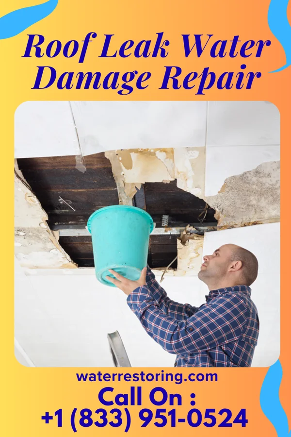 Roof Leak Water Damage Repair in Indian Hills, TX